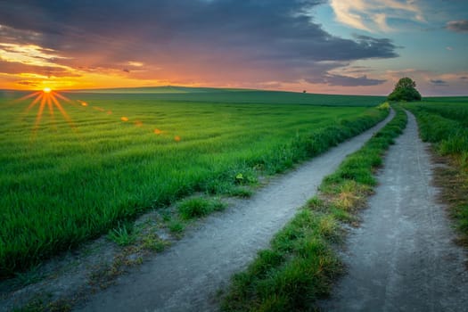 Wonderful evening rural landscape, fields and road after sunset, Staw, Poland