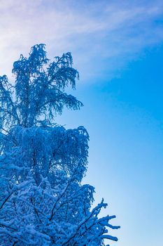 Amazing beautiful snowy winter snow and ice landscape panorama view with trees blue sky and town in Leherheide Bremerhaven Bremen Germany.