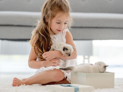 Child girl with ragdoll kittens in gift box indoors. Little female person surprised with kitty pets at home