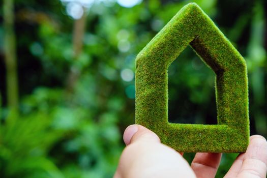 hand holding eco house icon in nature