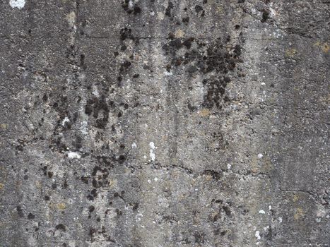 grey concrete texture useful as a background