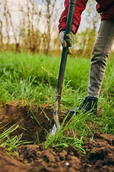 Farming, gardening, farming and people concept - unrecognizable young woman with a shovel digs the ground in a farm on a sunny day. High quality photo