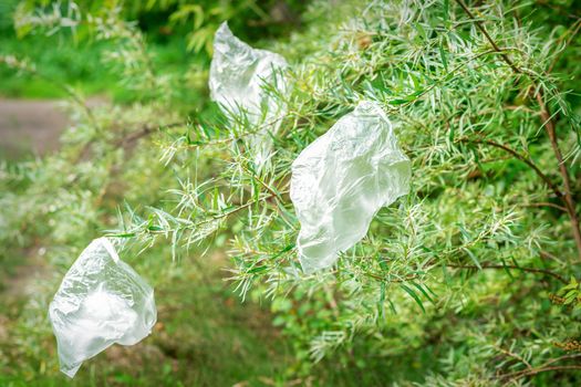 Used empty plastic bags hanging on a branch in the park