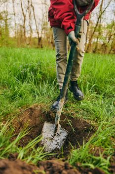 gardening, agriculture and people concept - unrecognizable woman with a shovel digs the ground for planting a tree on a farm on a sunny day. High quality photo