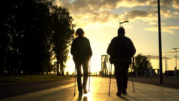 An elderly couple is engaged in Nordic walking in the park going into the sunset. A man and a woman walk with sticks to improve health. 4k