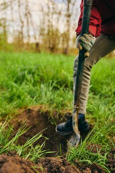 gardening, agriculture and people concept - unrecognizable woman with a shovel digs the ground for planting a tree on a farm on a sunny day. High quality photo