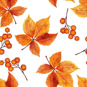 Watercolor hand drawn seamless pattern with red orange yellow fall autumn leaves, maple oak vine leaf. October september thanksgiving background with forest wood berries