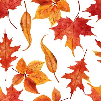 Watercolor hand drawn seamless pattern with red orange yellow fall autumn leaves, maple oak vine leaf. October september thanksgiving background with forest wood berries