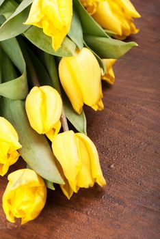 yellow tulips on wooden boards