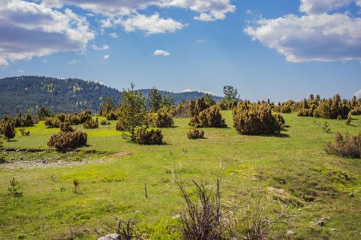 Durmitor. Picturesque mountain landscape of the Durmitor National Park, Montenegro, Europe, Balkans, Dinaric Alps, UNESCO World Heritage.