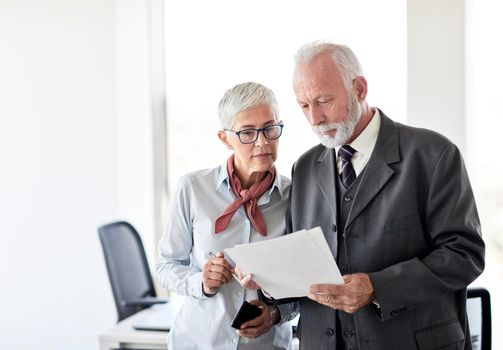 portrait of two senior business people discussing and analyzing documents in the office