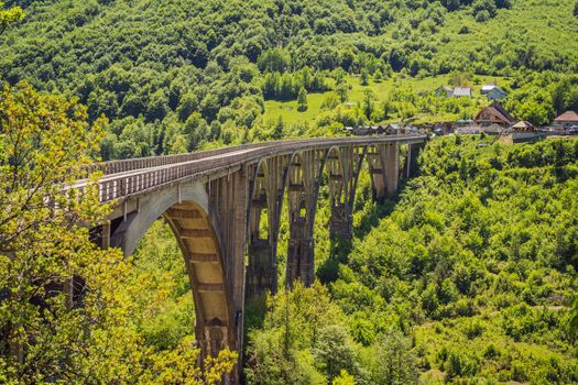 Montenegro. Dzhurdzhevich Bridge Over The River Tara.