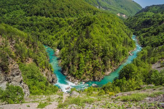 River bend, Montenegro natural landscape, mountain river Tara.