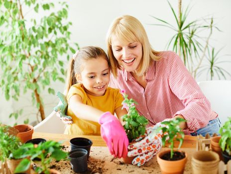 mother and daughter planting flowers and having fun at home or in the garden or greenhouse