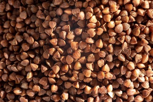 Ancient grain food. buckwheat texture background. Natural healty food, vegan diet