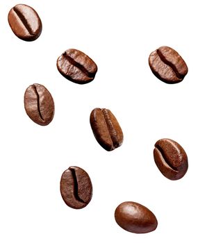 collection of various coffee bean on white background