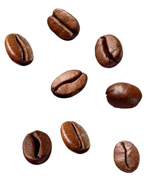 collection of various coffee bean on white background