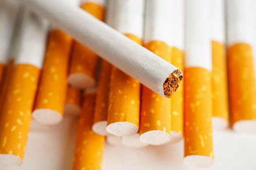 Cigarette, roll tobacco in paper with filter tube, No smoking concept.