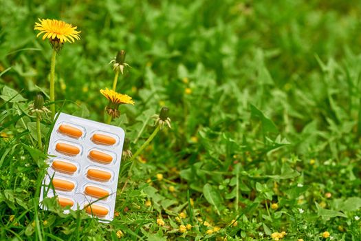 a small round mass of solid medicine to be swallowed whole. White blister with orange red pills on a green lawn with dandelions