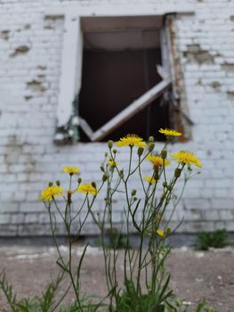 Damaged ruined houses in Chernihiv near Kyiv on north of Ukraine.