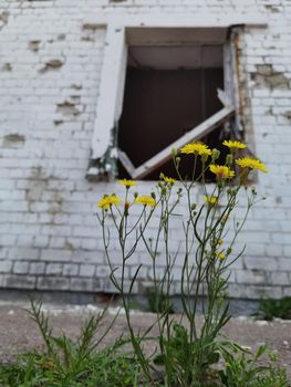 Damaged ruined houses in Chernihiv near Kyiv on north of Ukraine.