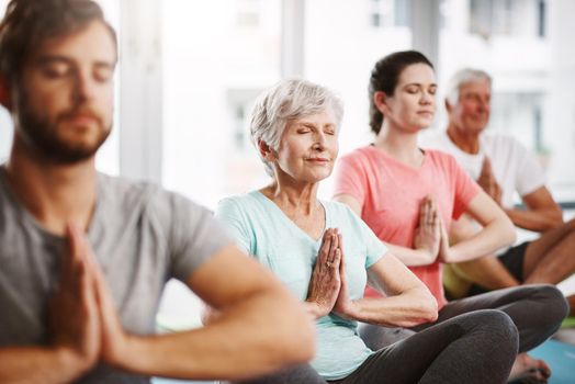 a group of people meditating while practicing yoga.