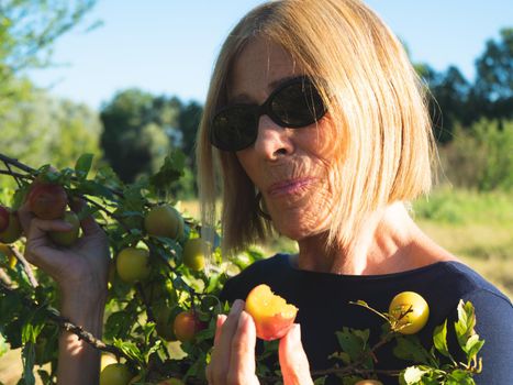 elegant lady picking plums and peaches in a farm during summer