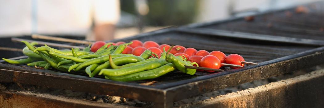 Close-up of amateur chef going to fry fresh tomatoes and green pepper on grill in nature. Person cooking picnic for friends. Food, cafe, barbeque concept