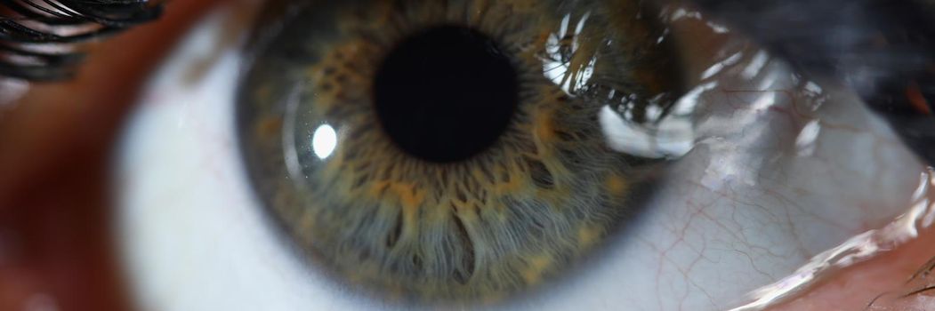 Close-up of beautiful green woman eye with mascara makeup product. Macro shot of human eye with poofy eyelashes. Ophthalmology, oculist, beauty concept