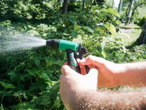 Hairy man's hands holding nozzle of watering hose and watering garden