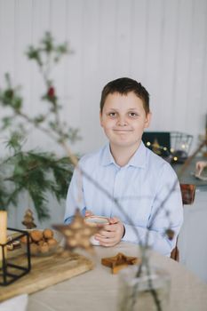 Happy beautiful portrait of a smiling caucasian child boy on the background of a Christmas tree in a home interior and festive atmosphere.