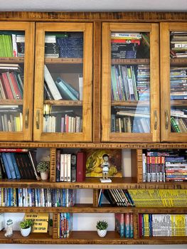 Bookcase with books, figurines and flowerpots on the shelves. High quality photo