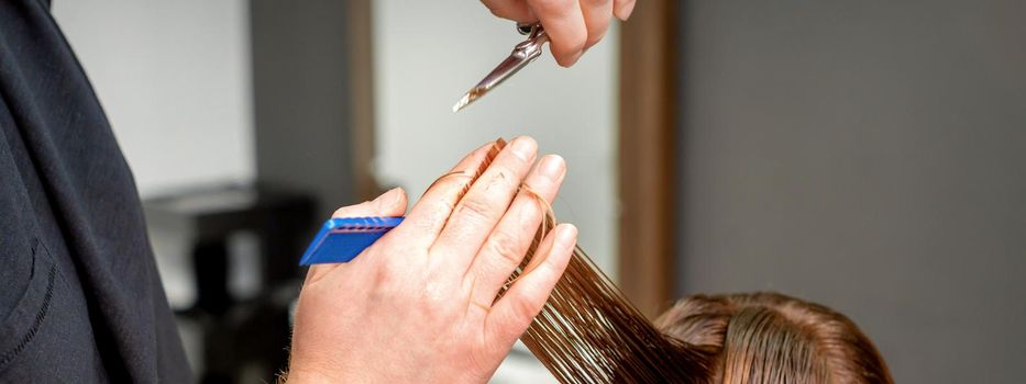 Close up of male hairdresser's hands cuts female hair in a hair salon. Selective focus