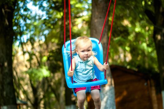 toddler girl on a swing in the park. High quality photo