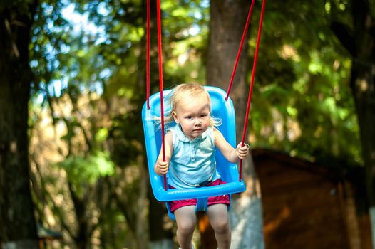 toddler girl on a swing in the park. High quality photo