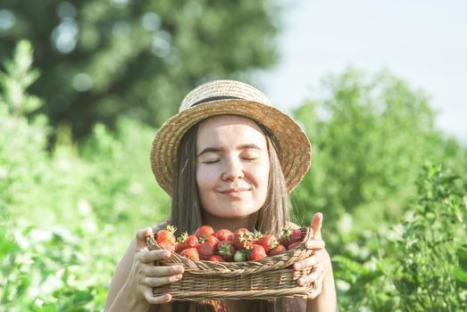 girl in strawberrry field with basket of fresh picked fruits