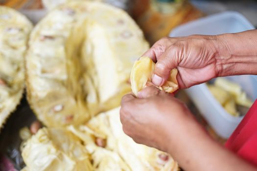 Villagers are using their hands to carve jackfruit, which is a yellow fruit