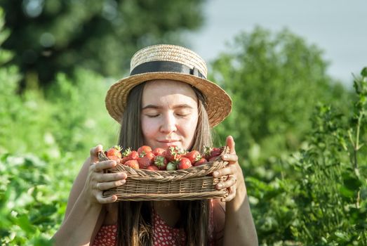 girl in strawberrry field with basket of fresh picked fruits