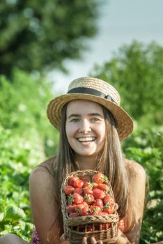 girl in strawberrry field with basket of fresh picked fruits