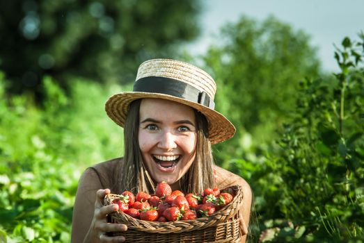 girl in strawberrry field with basket of fresh picked fruits