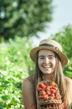 girl in strawberrry field with basket of fresh picked fruits