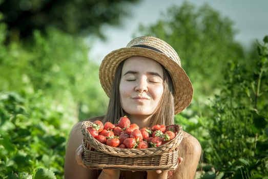 girl in strawberrry field with basket of fresh picked fruits