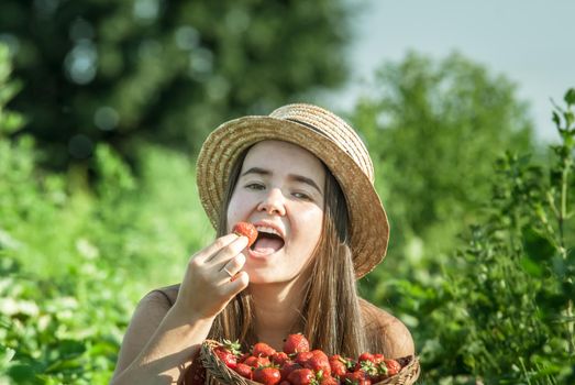 girl in strawberrry field with basket of fresh picked fruits