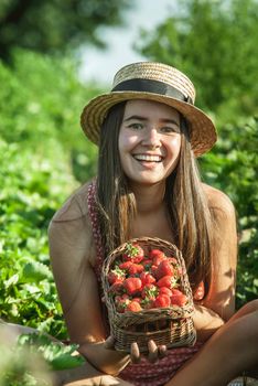 girl in strawberrry field with basket of fresh picked fruits