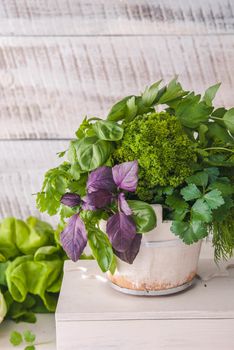 composition of fresh herbs in front of wooden background. High quality photo