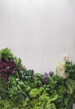 composition of fresh herbs in front of wooden background. High quality photo