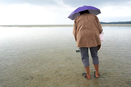 Ko Phangan, Thailand, March 15, 2022: woman with an umbrella and a rake searching for clams
