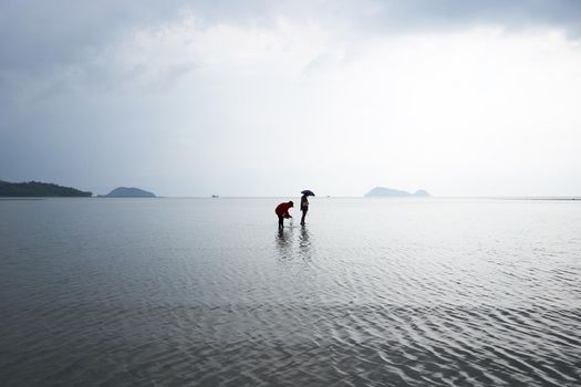 Ko Phangan, Thailand, March 15, 2022: silhouette of two women looking for clams in the water