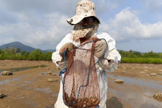 Ko Phangan, Thailand, March 15, 2022: aged covered woman showing a net with clams on the beach