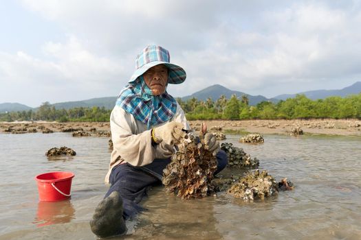 Ko Phangan, Thailand, March 15, 2022: woman sitting on the beach searching for clams